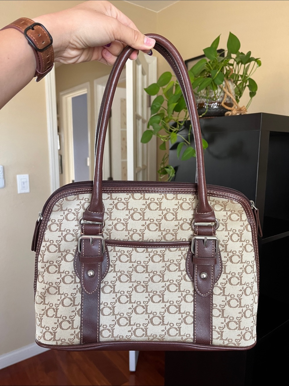 CarryLand Vintage Purse